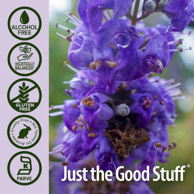Nature'S Answer Alcohol- Vitex Berry 1-Fluid Ounce | Promotes Hormonal Balance | Ovulation Support | Menopausal Support