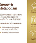 Solgar Pantothenic Acid 550 Mg 100 Vegetable Capsules - Vitamin B5 - Energy Metabolism Nervous System Support - Gluten Free Dairy Free Kosher - 100 Servings