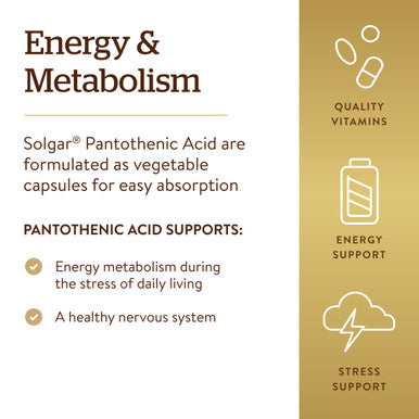 Solgar Pantothenic Acid 550 Mg 100 Vegetable Capsules - Vitamin B5 - Energy Metabolism Nervous System Support - Gluten Free Dairy Free Kosher - 100 Servings