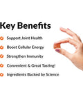 Force Factor Better Turmeric Joint Support Supplement & Smarter Greens Superfood Chews 60 Soft Chews & Total Beets Soft Chews 60 Chews