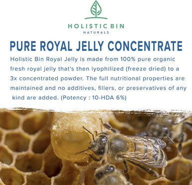 Holistic Bin Royal Jelly Powder 3X Concentration (25 Servings)| Rich in Proteins (Collagen), Amino s, Probiotics, Superfood