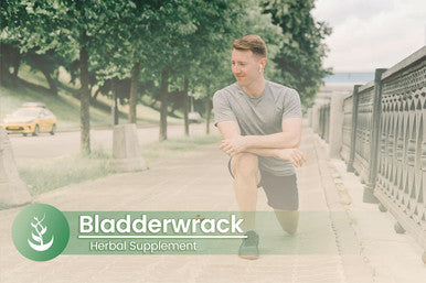 PURE ORIGINAL INGREDIENTS Bladderwrack, (100 Capsules) Always Pure, No Additives Or Fillers, Lab Verified