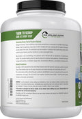 Carlyle Grass Fed Whey Protein Powder | 5lb (80 oz) | 33g of Protein Per Serving | Unflavored | Sugar and Hormone | Non-GMO and Gluten Supplement | by Herbage Farmstead