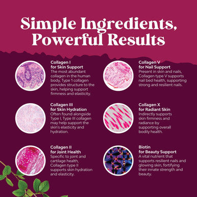 Natures Craft Advanced Multi Collagen Complex - Biotin and Collagen Supplement for Men and Women with BioPerine and Vitamin C - Type 1 2 3 5 & X Collagen Pills for Bone and Joint Support Hair Skin and Nails