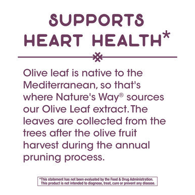 Nature's Way Olive Leaf, Premium Extract Supplement, 250 mg per serving, 60 Capsules