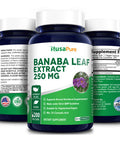 Banaba Leaf Extract 250mg 200 Vegetarian Caps (Non-GMO & ) 2% Corosolic