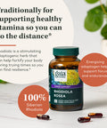 Gaia Herbs Rhodiola Rosea - Support Supplement Traditionally for Supporting Healthy Stamina and Endurance - With Siberian Rhodiola Root Extract - 120 Vegan Liquid Phyto-Capsules (60-Day Supply)