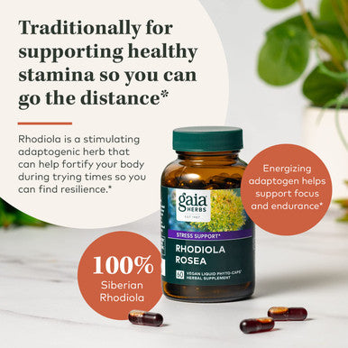 Gaia Herbs Rhodiola Rosea - Support Supplement Traditionally for Supporting Healthy Stamina and Endurance - With Siberian Rhodiola Root Extract - 120 Vegan Liquid Phyto-Capsules (60-Day Supply)