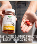 Nature's Way Calm Gummies, L-Theanine for Relaxation*, Fast Acting**, Non Drowsy, Fruit Punch Flavored, 90 Gummies