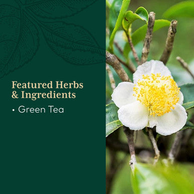 Gaia PRO Green Tea - Green Tea Herbal Supplement - with Organic Green Tea Leaf and Extract - 60 Vegan Liquid Phyto-Capsules (30 Servings)