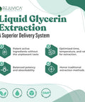 Active Adrenal - Advanced Adrenal Support Tincture - Liquid Delivery For Better Absorption - Ashwagandha, B-Vitamins, Magnesium And More