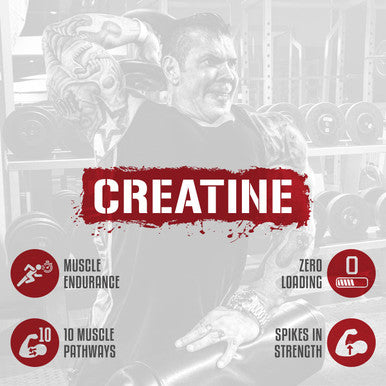 5% Nutrition CreaTEN Multi Creatine Blend + Accelerators | Flavored Creatine Powder for Muscle Gain | Max Power, Strength, Endurance, & Recovery | 25 Servings (Blueberry Lemonade)