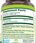 Amazing Nutrition Herbal Secrets Green Tea Extract 1000 Mg per Serving | Veggie Capsules Supplement | Non-GMO | Gluten- | Made in USA (1 Pack 120 Count)