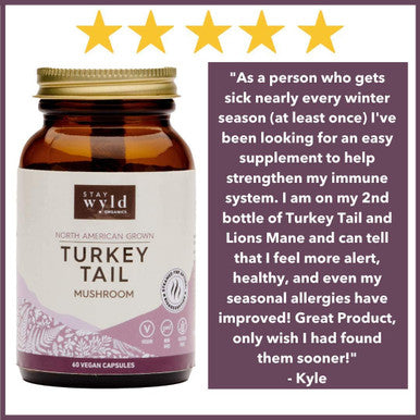 Stay Wyld Organics Turkey Tail Mushroom Vegan Capsule Supplement - Immune & Gut Health Support, Antioxidant & Vitamin D Source, Energy Booster - Perfect for Adult Women & Men | (60 Capsules)