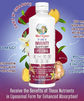 Maryruth Organics Elderberry Liquid with Vitamin C and Zinc for Adults & Kids | 7 in 1 Immune Support & Defense Liquid Vitamins | Vegan | Gluten | Non-GMO | 30 Servings