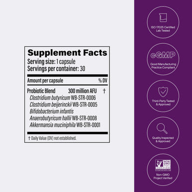 Pendulum Metabolic Daily Multi Strain Probiotic with Akkermansia muciniphila to Support Metabolism and Sustain Energy Levels for Women and Men 30 Capsules 1 Pack