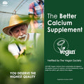 Plant Based Calcium Supplement 600Mg With Vitamin D3 K2, Zinc For Bone Strength, Sustainably Sourced Algae Calcium Magnesium 2:1 Ratio, Sugar Calcium Gummies 70+ Trace Minerals, Vegan, 60 Counts