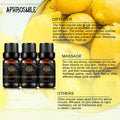 Peppermint Eucalyptus Lemongrass Essential Oil - 100% Pure Peppermint Eucalyptus Lemongrass Organic Aromatherapy Oil 10mL/0.33oz