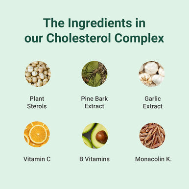 Hey Nutrition Cholesterol Complex Supplement - with Plant Sterols & Pine Bark Extract - Advanced Cholesterol Support - 90 Tablets/30 Servings - Non-GMO Vegan