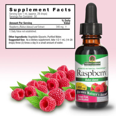 Nature'S Answer Low Organic Alcohol Raspberry Leaf Extract 1-Fluid Ounce nonGMO Kosher Gluten | Supports Health | Soothes Digestion