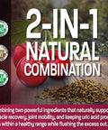 Bronson Tart Cherry Extract + Celery Seed Capsules - Powerful Uric Cleanse, Joint Mobility Support & Muscle Recovery Supplement - Non GMO Formula, 120 Vegetarian Capsules