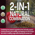 Bronson Tart Cherry Extract + Celery Seed Capsules - Powerful Uric Cleanse, Joint Mobility Support & Muscle Recovery Supplement - Non GMO Formula, 120 Vegetarian Capsules