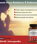 KSM-66 Ashwagandha by DailyNutra - 600mg Organic Root Extract - High Potency Supplement with 5% Withanolides