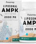 Liposomal Ampk Activator 2000 Mg - High Bioavailability Berberine Hcl,Dim,Milk Thistle,And Cinnamon Bark Capsule 6-In-1 Ampk Supplements For Antioxidant Support And Cellular Regulation, 60 Softgels