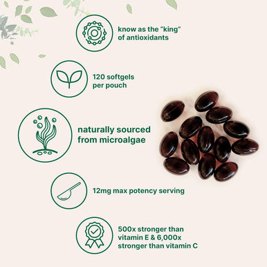Micro Ingredients Astaxanthin 12mg 120Softgels 4 Month Supply | Premium Astaxanthin Antioxidant Supplements | Fresh Microalgae Source | Supports Eye Joint & Internal Circulation Health | Easy to Swallow