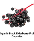 Codeage Organic Black Elderberry Supplement - Vitamin C, D, Zinc - Fermented Black Elderberries Vitamins - Elderberry Extract Pills Concentrate Sambucus Berries Flavonoid - Vegan - 90 Capsules