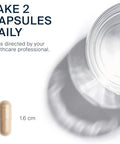 Vital Nutrients - Ginkgo (50:1 Extract) - Supports Mental Acuity and Circulation - 90 Capsules per Bottle - 80 mg