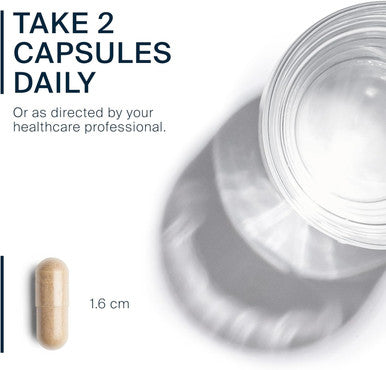 Vital Nutrients - Ginkgo (50:1 Extract) - Supports Mental Acuity and Circulation - 90 Capsules per Bottle - 80 mg