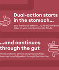 Physician'S Choice Digestive Enzymes - Multi Enzymes, Organic Prebiotics & Probiotics For Digestive Health & Gut Health - Bloatin