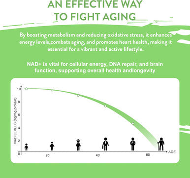 Nad+ Supplement Plus With Liposomal Nicotinamide Riboside, Resveratrol, Tmg, Nr Supplements - High Absorption Support Dna Repair & Anti Aging Healthy Cell Production 600Mg, 60 Vegan Wellness Capsules