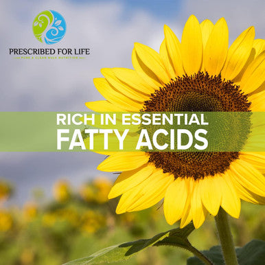 Prescribed For Life Sunflower Lecithin Powder | Unbleached Gluten Vegan Non-Gmo Soy her | Naturally Rich In Choline & Essential Fatty Acids (4 Oz / 113 G)
