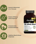 St Johns Wort Supplement 1500mg Per Serving with 2250mcg Hypericin 2 in 1 Formula St Johns Wort Complex 200 Capsules Promote Emotional Balance Joyful Mood Stress Response