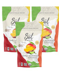 SOL SIMPLE Organic Dried Mango | 6oz Snack Pack (2 Bags Total) | One Ingredient | Vegan | Non-GMO | No Added Sugar | Fair Trade | Dried Fruit | Mango