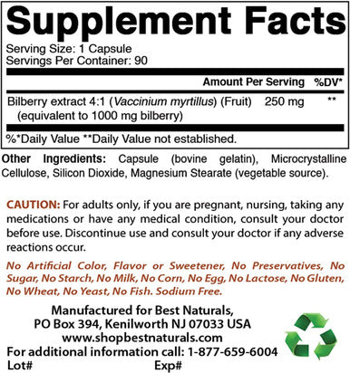 Best Naturals Bilberry 1000 Mg 90 Capsules (90 Count (Pack of 3))