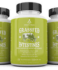 Ancestral Supplements Intestines with Stomach (Tripe) Supports Gut & Digestive Health (180 Capsules)