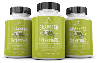 Ancestral Supplements Intestines with Stomach (Tripe) Supports Gut & Digestive Health (180 Capsules)