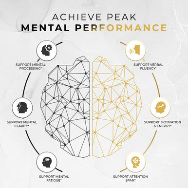 Aceworkz Elite Brain - Nootropic Brain Supplement For Focus, Memory, & Mental Clarity - Alcar, Lions Mane, Ala, L-Theanine, Vitamin B Complex - Natural Energy, Caffeine-(60 Capsules)