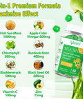 2 Pack Organic Irish Sea Moss Gummies With Black Seed Oil, Chlorophyll - Thyroid, Digestion, Mood, Energy & Immune Support - Women & Men, Adult & Kid - 120 Vegan Gummies