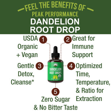 Dandelion Root Extract Organic Herbal Tincture Dandelions Supplement