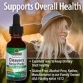 Nature'S Answer Cleavers 2000mg