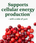 MegaFood B12 Energy Gummies - Vitamin B12 - Supports Energy Metabolism - B12 Gummies For Adults - Methylcobalamin B12- Vegan Supplement Certified Organic Non Gmo- Cranberry- 70 Gummies 35 Servings