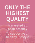 Host Defense Turkey Tail Mycelium Powder