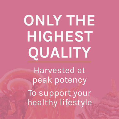 Host Defense Turkey Tail Mycelium Powder
