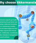 Akkermansia Muciniphila Probiotic For Gut Management - Glp-1 Boosting Supplement With Chicory Inulin, Turmeric, Resistant Starch, Vegan & Gluten - 30 Day Supply