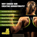 Creatine Monohydrate Gummy For Men & Women, Sugar-Creatine Monohydrate Supplement With Magnesium & Zinc & Ashwagandha, For Muscle Builder & Strength, Energy, Pre Workout Support
