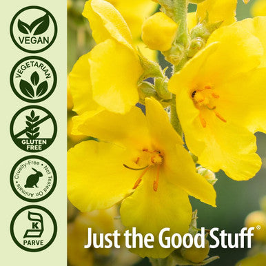 Nature'S Answer Mullein Leaf Capsules 90 - Alcohol Vegetarian Vegan Gluten - Mullein capsuels for Lungs Mullein herb - Supports Respiratory Function & Lung Health